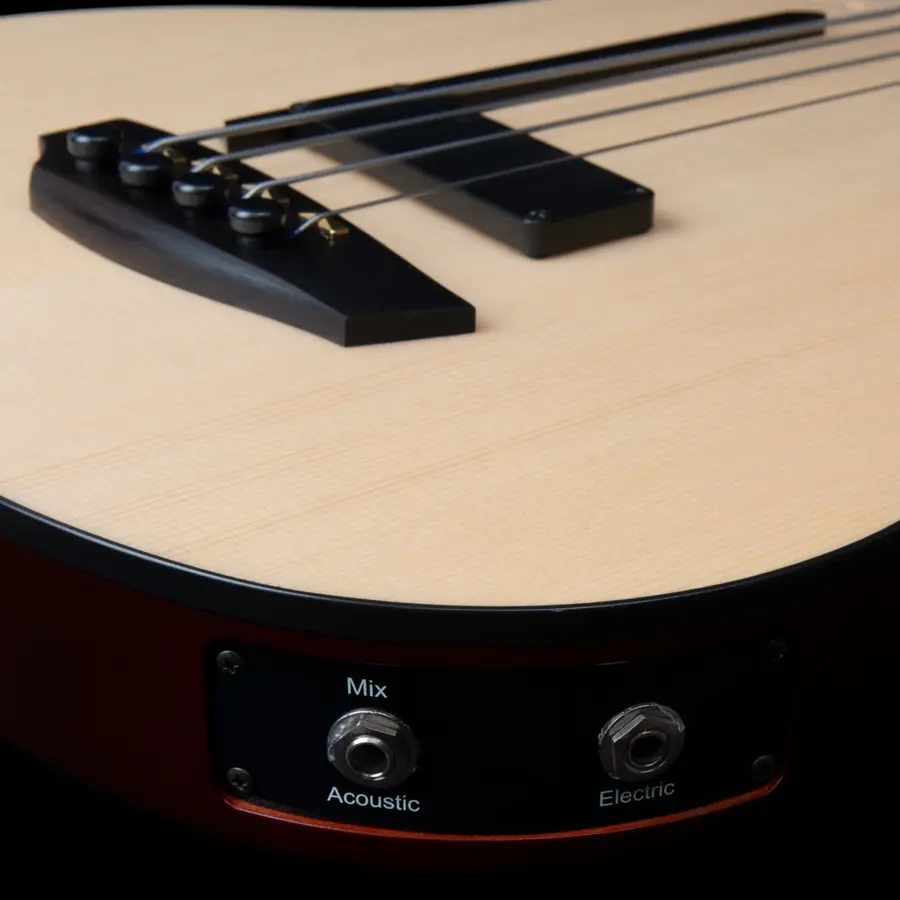 Godin A4 Natural Fretless A/E Bass 