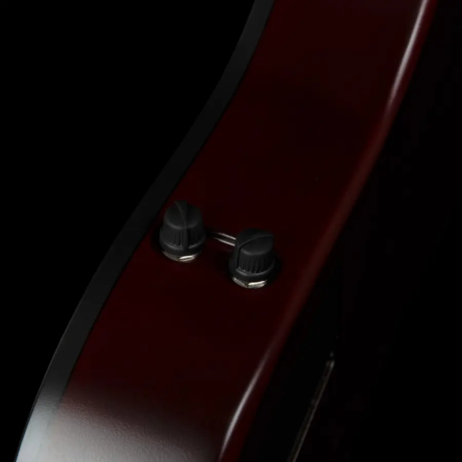 Godin A4 Natural Fretless A/E Bass 