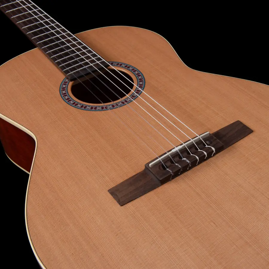 Godin Etude LEFT Venstrehendt 