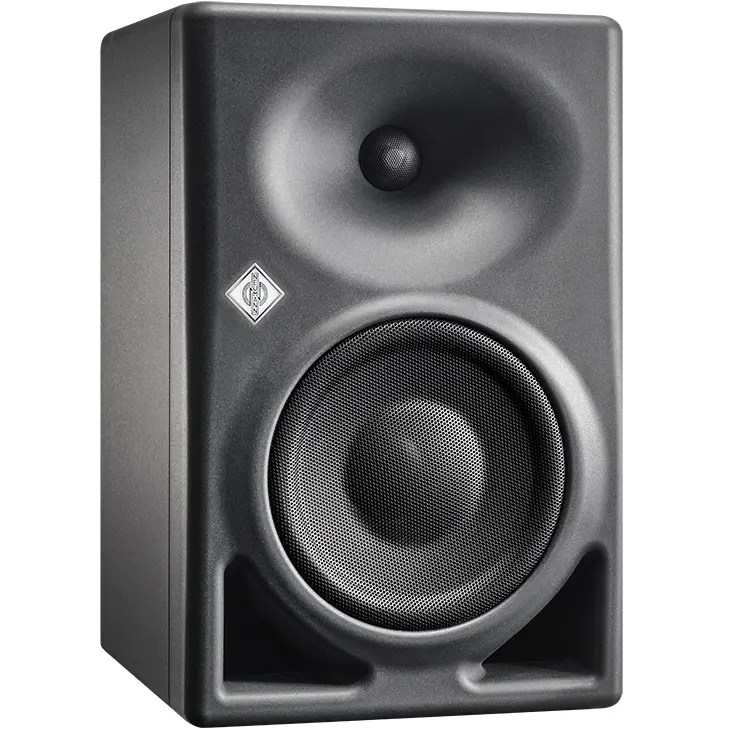 Neumann KH 150 Monitor Antrasitt 