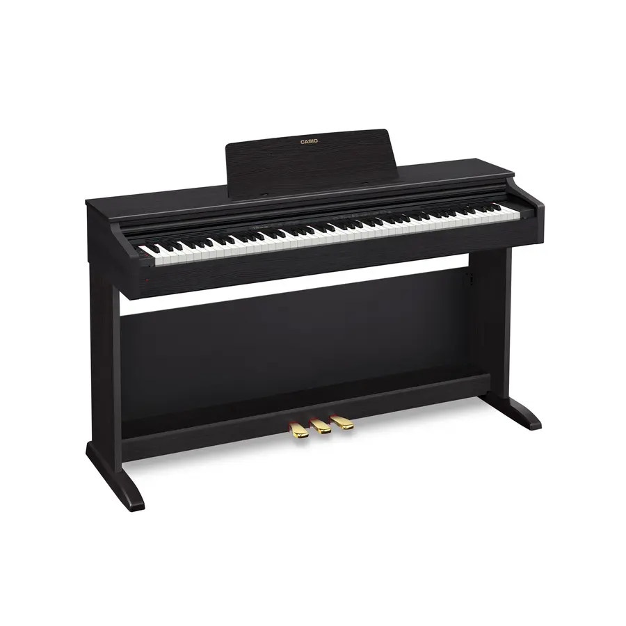 Casio AP-270BK 