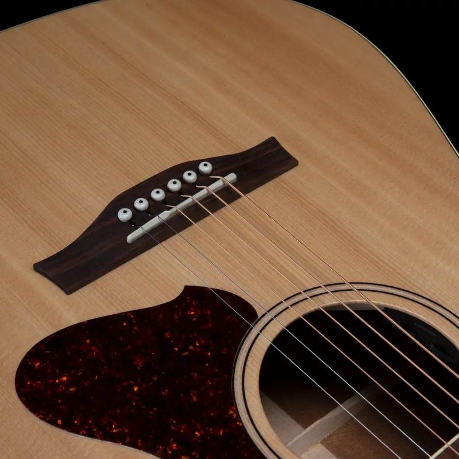 Godin Metropolis Natural RN GT EQ NEW 