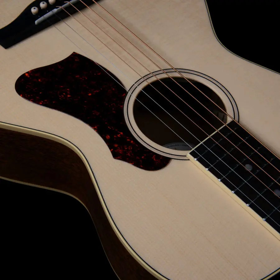 Godin Rialto Natural RN GT EQ NEW 