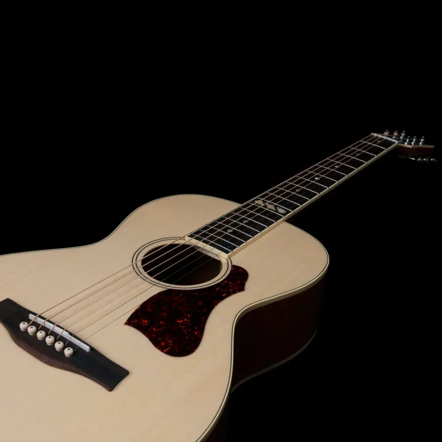 Godin Rialto Natural RN GT EQ NEW 