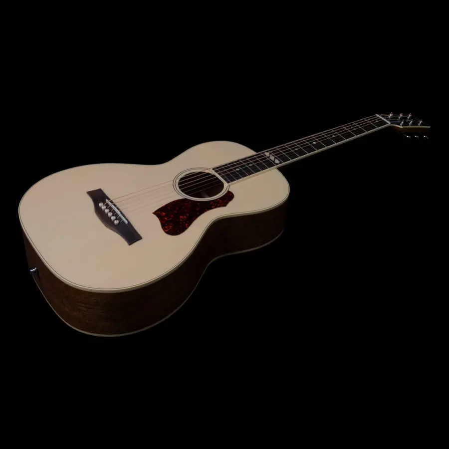 Godin Rialto Natural RN GT EQ NEW 