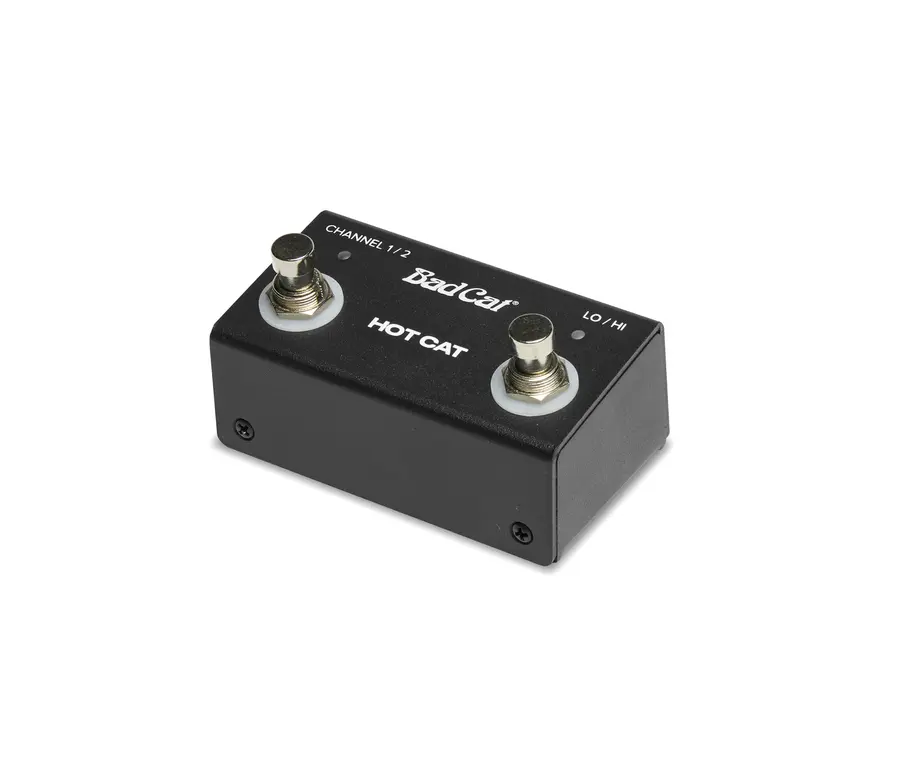 Bad Cat Hot Cat 1x12 Combo 