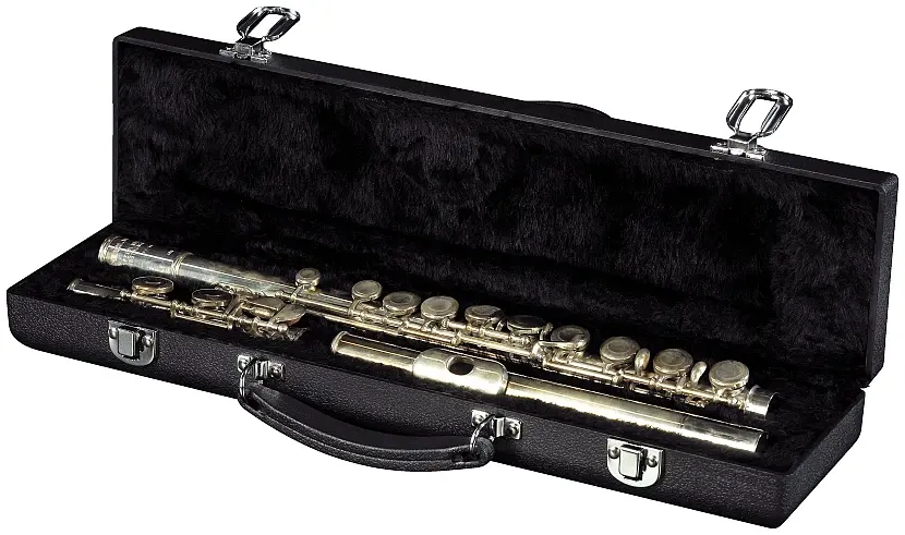 RockCase Transverse Flute ABS Case 