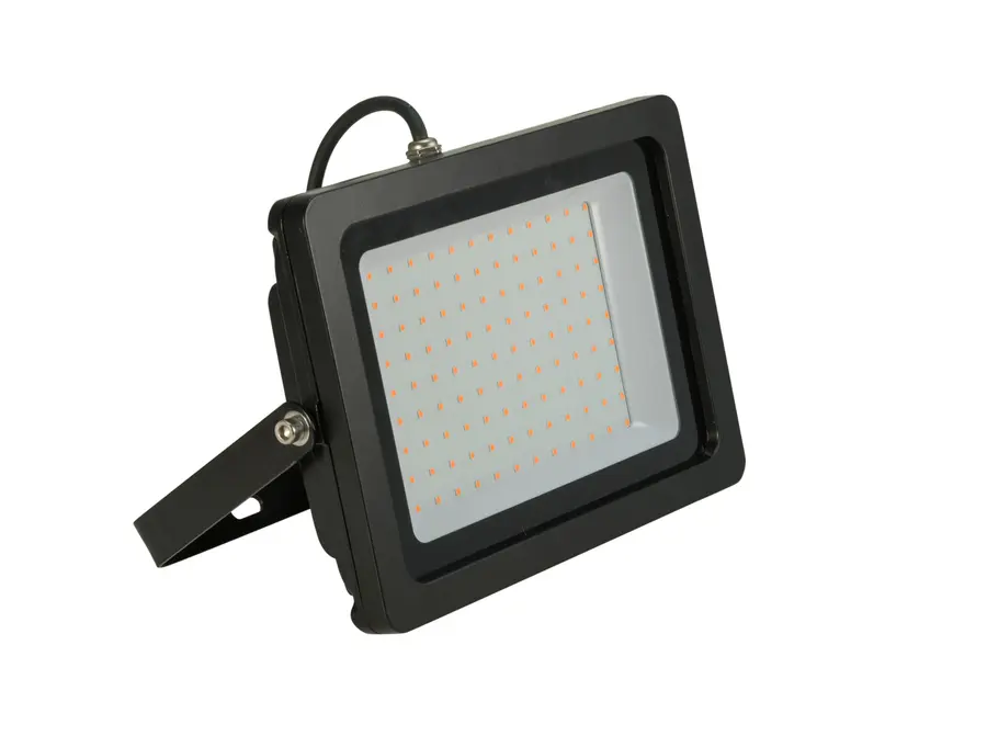 EUROLITE LED IP FL-100 SMD grønn 