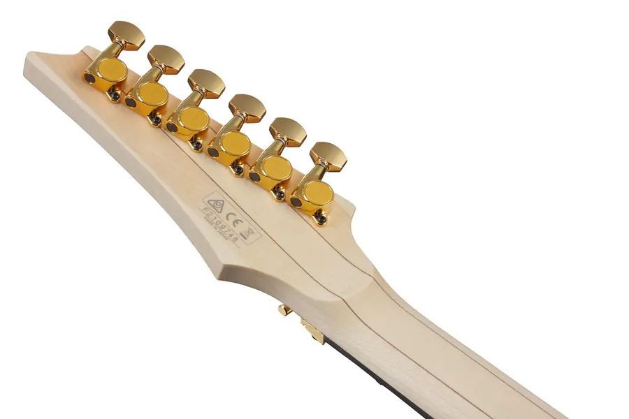 Ibanez RGA622XH-WH 