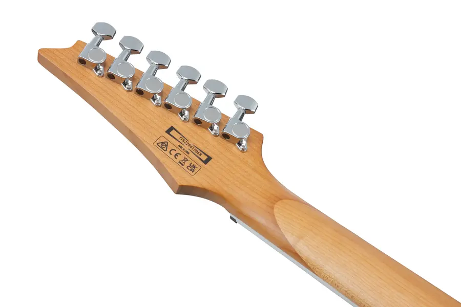 Ibanez GRG220PA1-BKB 