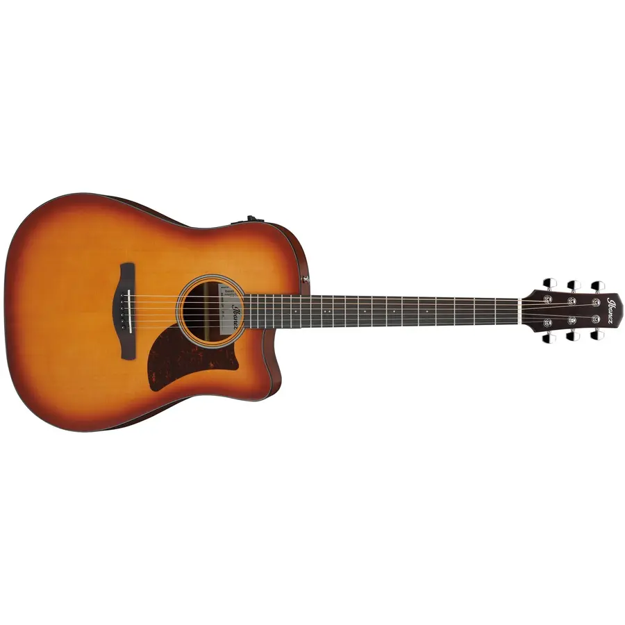 Ibanez AAD50CE-LBS 