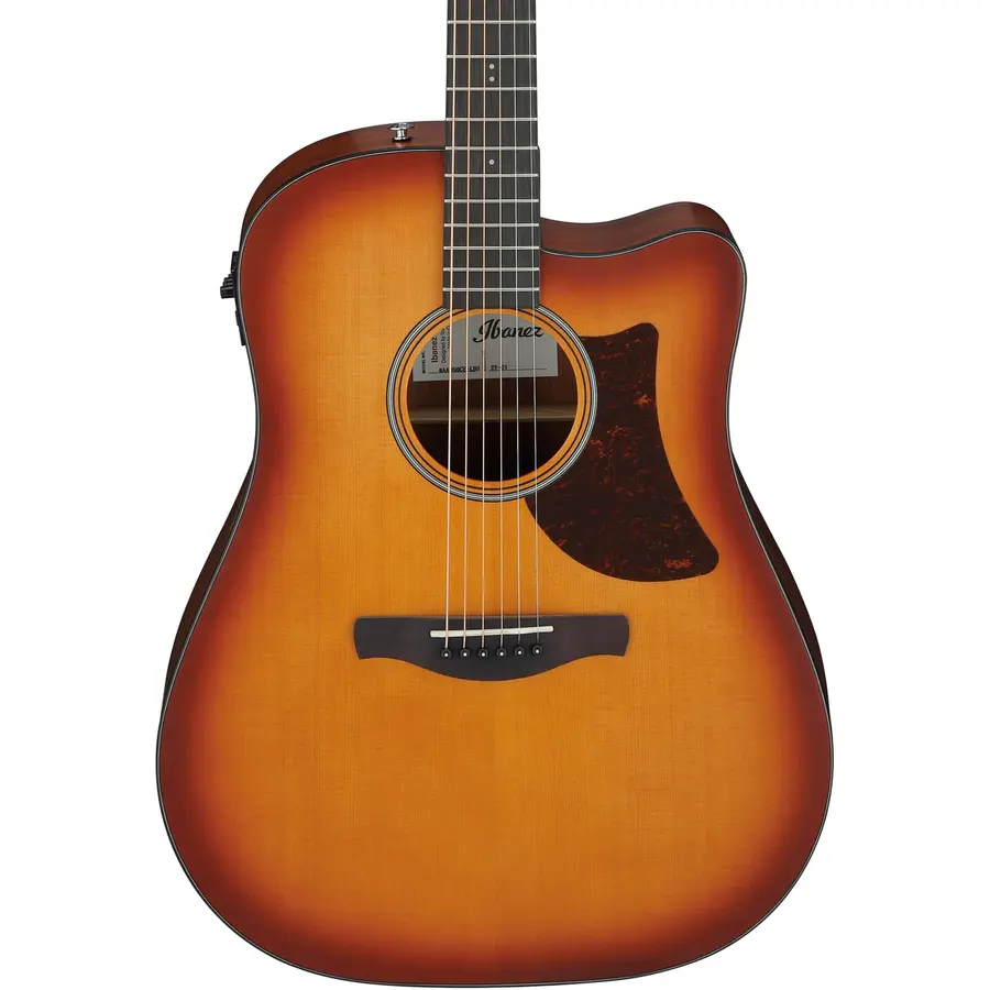 Ibanez AAD50CE-LBS 