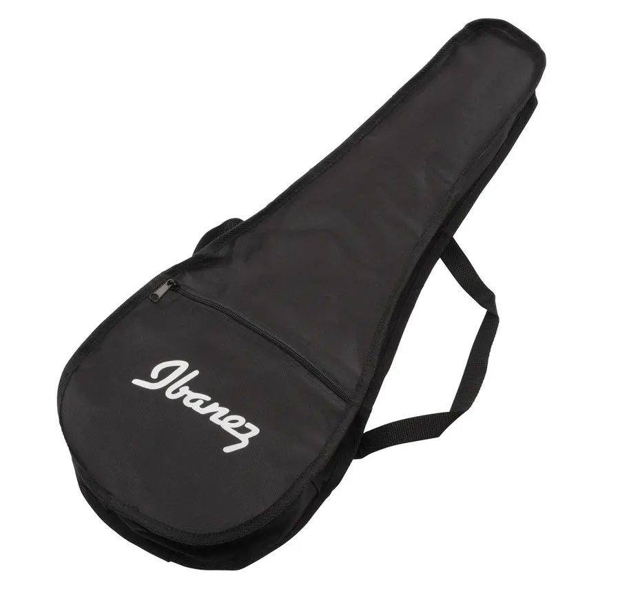 Ibanez URGT100-SUY 