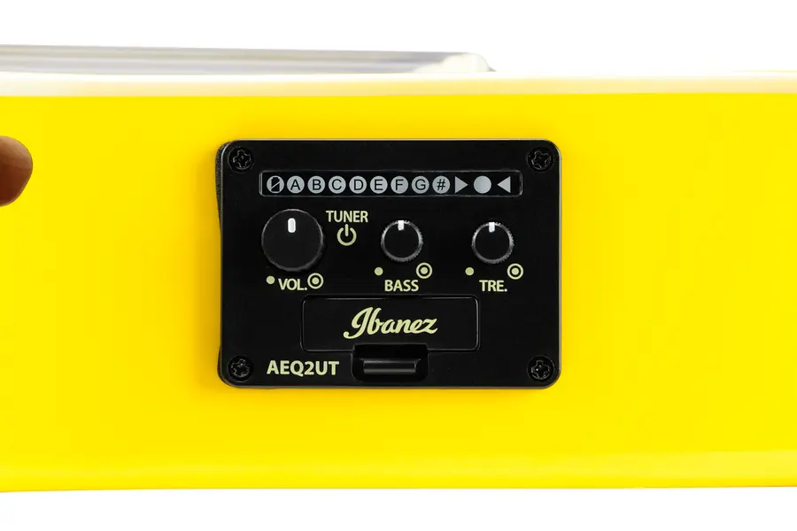 Ibanez URGT100-SUY 