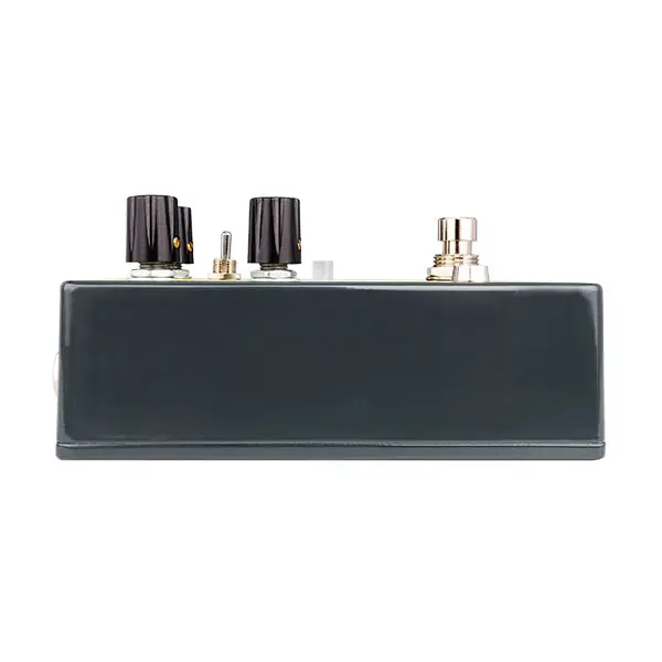 EarthQuaker devices Ledges Tri-Dimensional Reverberation Machine 