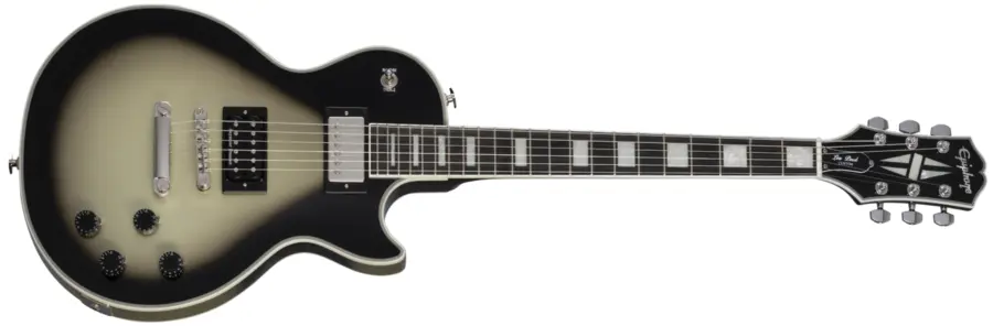 Epiphone Les Paul Custom Adam Jones J. Heffernans Self Portrait Not Dead Yet 
