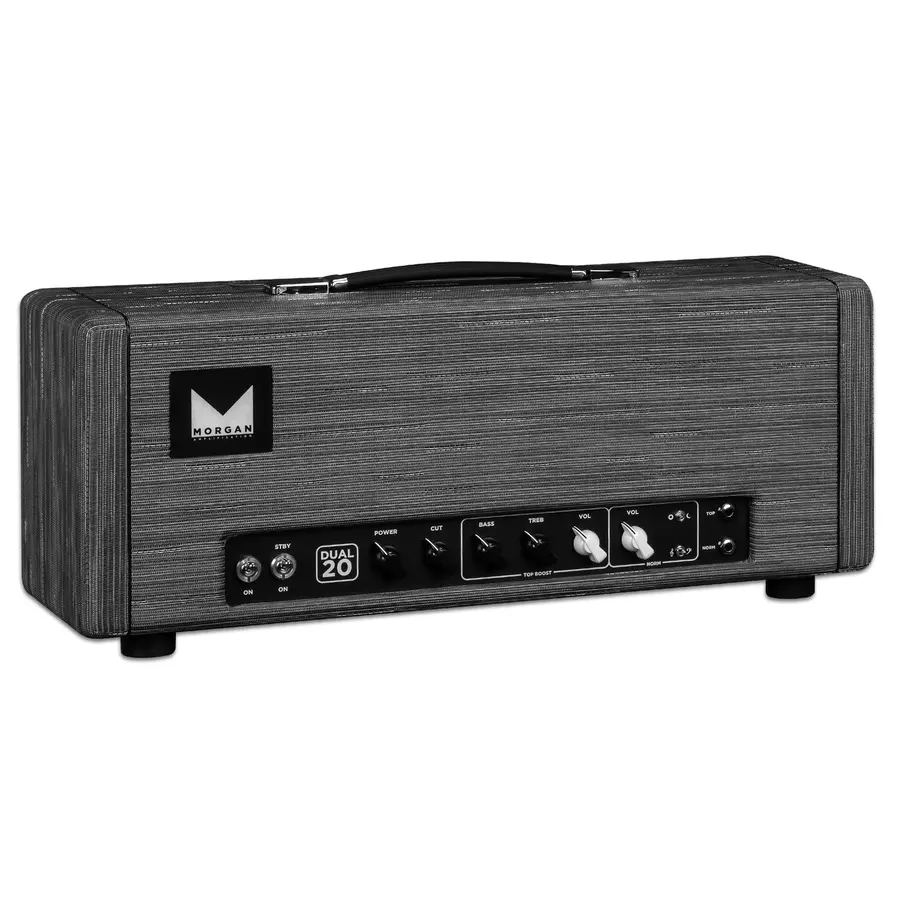 Morgan Amps DUAL20 Gitartopp Twilight 