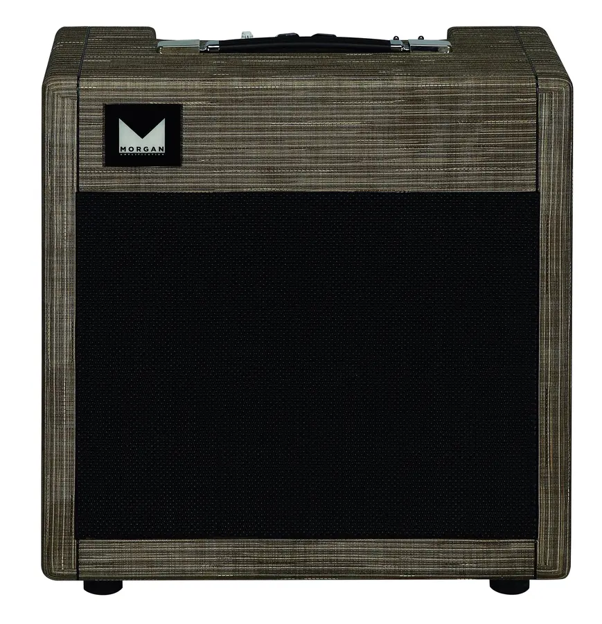 Morgan Amps AC20 Gitarcombo Driftwood 