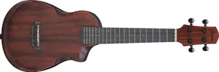 Ibanez AUC14-OVL Ukulele Advanced Ukulele