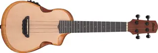 Ibanez AUC10E-OPN Ukulele Advanced Ukulele