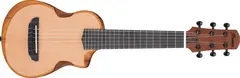 Ibanez AUP10N-OPN Ukulele Advanced Ukulele