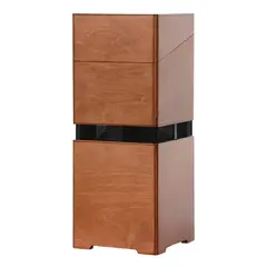 Acus Allaround 4 Wood akustisk gitar-forsterker