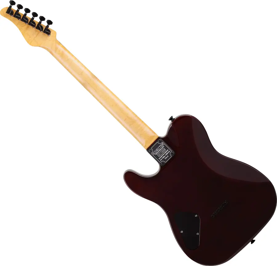 Schecter PT Classic Inferno Burst 