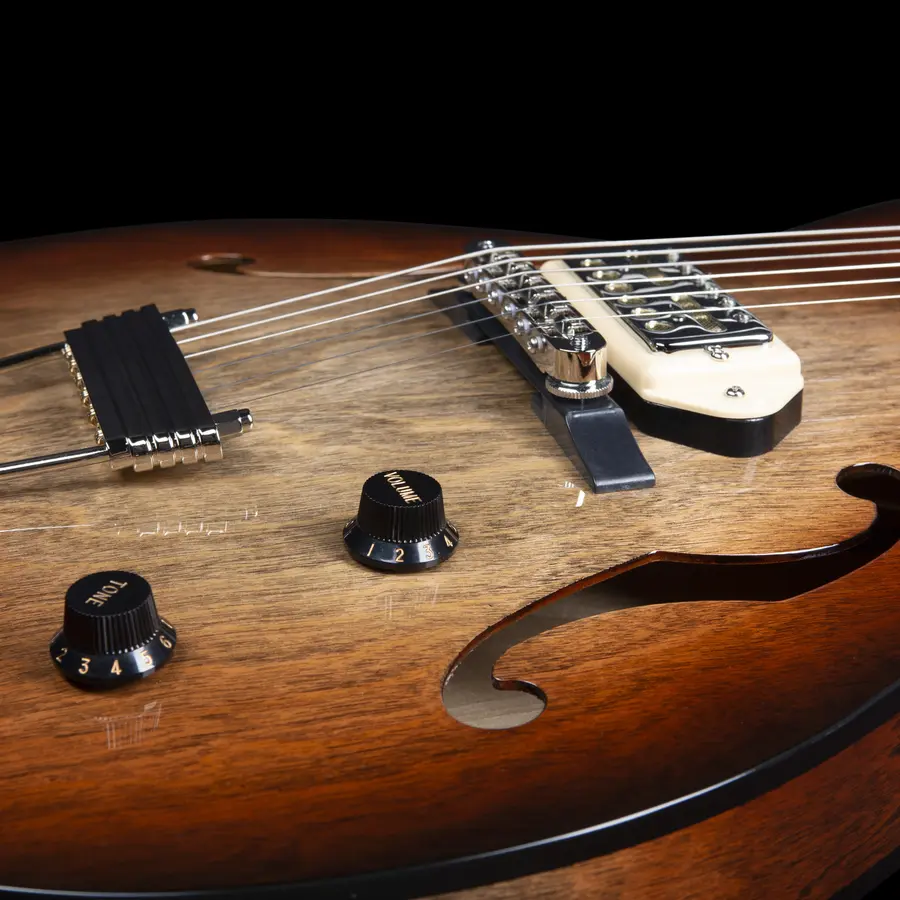 Godin 5th Ave TL Vintage Burst HG Gold Foil Dogear 