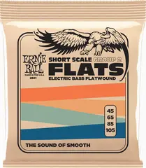 Ernie Ball 2801 Flatwound GR2 (045-105) Short Scale