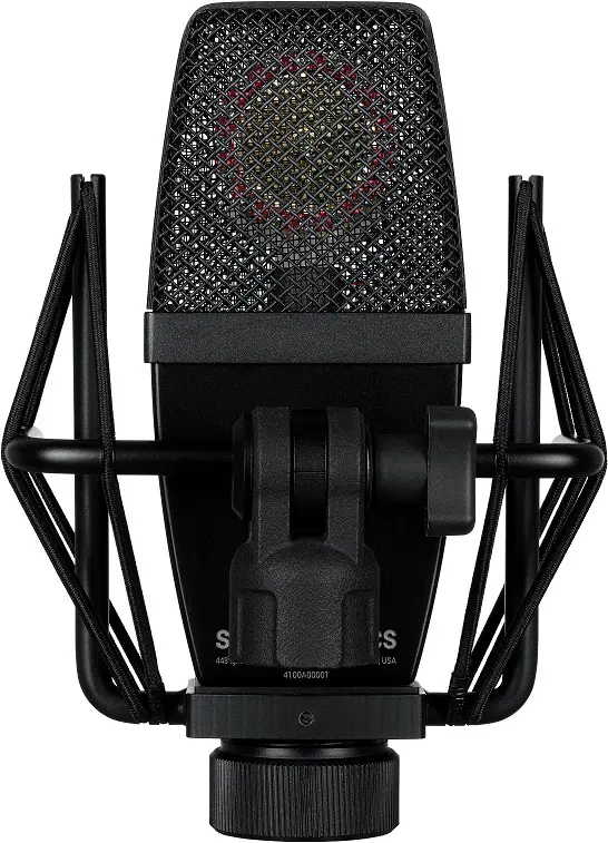 sE Electronics sE4100 Matchet par 