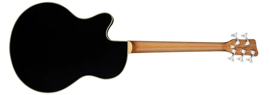 Warwick RockBass Alien Standard 5-String Fretless w/Lines, Solid Black Satin 