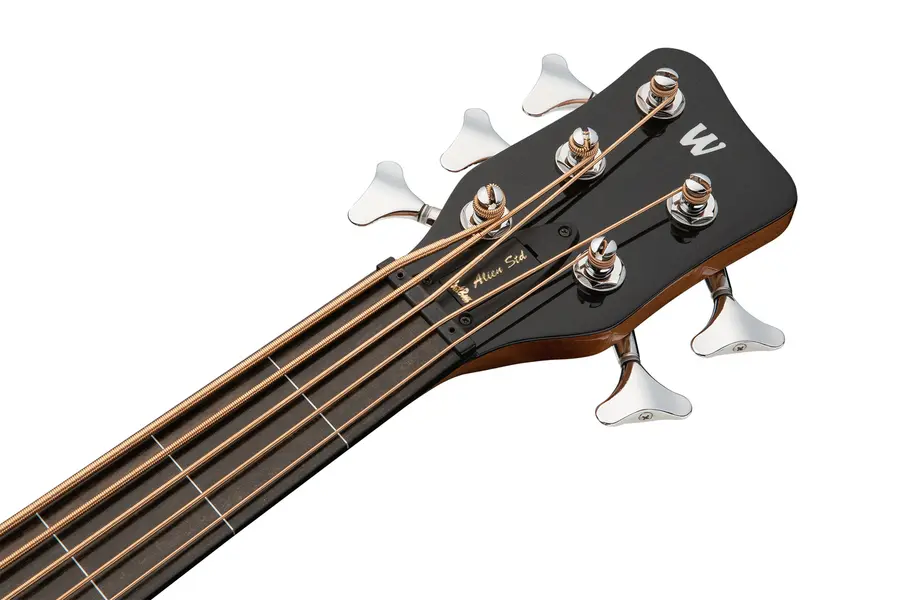 Warwick RockBass Alien Standard 5-String Fretless w/Lines, Solid Black Satin 