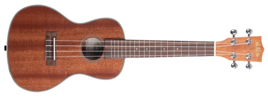 Kala KA-CG Gloss Mahogany Concert Ukulele, med bag (UB-C) 
