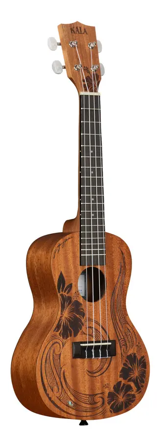 Kala KA-UNITY-C Unity Mahogany Concert Ukulele, med bag 