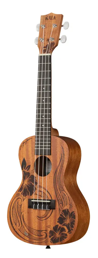 Kala KA-UNITY-C Unity Mahogany Concert Ukulele, med bag 