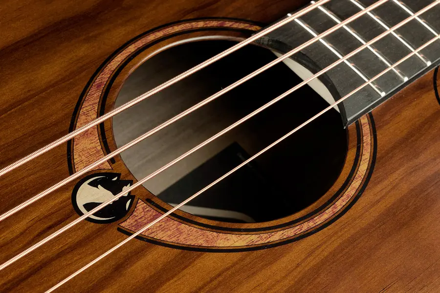 LAG SAUVAGE-BCE Sauvage Bass Acoustic-Electric Jumbo Cutaway 