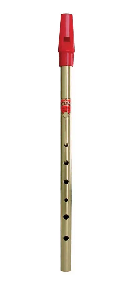 Generation Flageolet Tin Whistle Brass D 