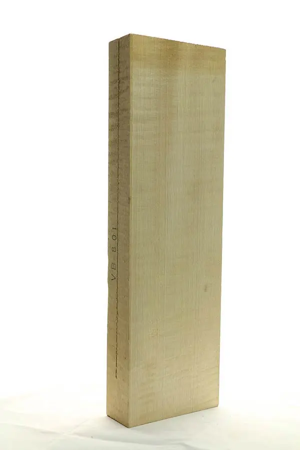 ELS VB-801 