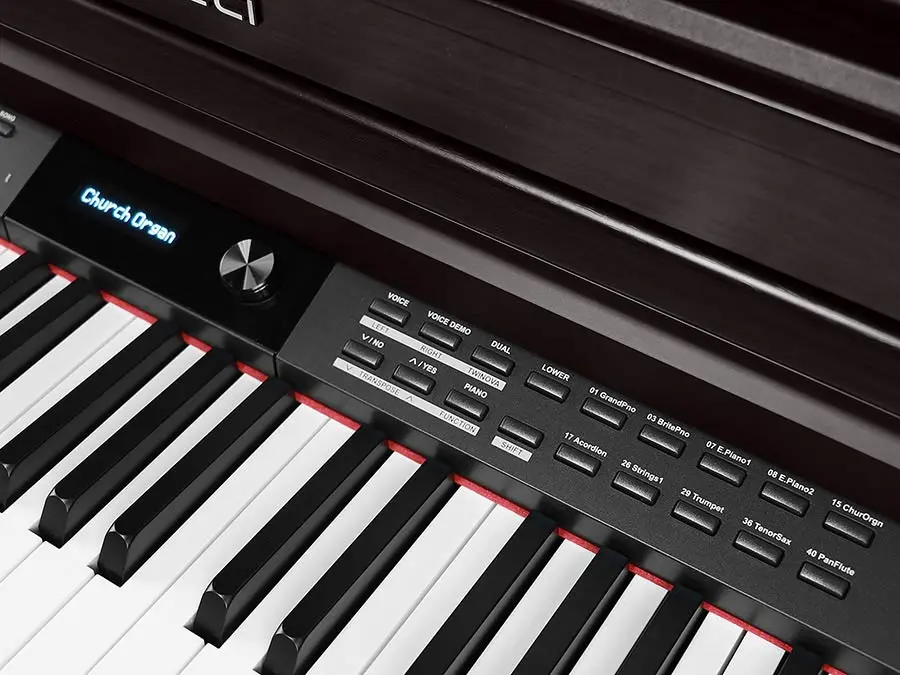 Medeli DP460K Digital Piano - Rosewood 