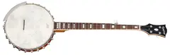 Epiphone Mastertone Bowtie Open Back Banjo Natural
