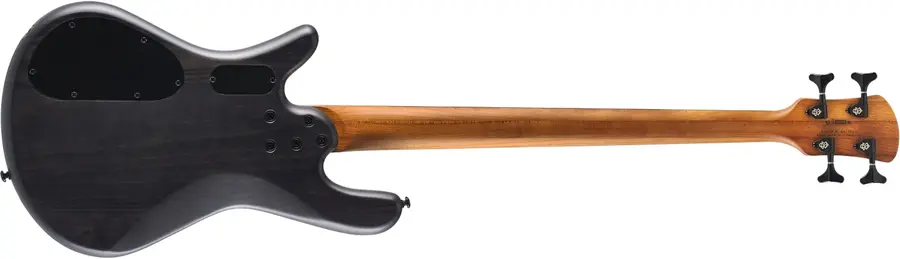 Spector NS Pulse II 4 Black Stain Matte 