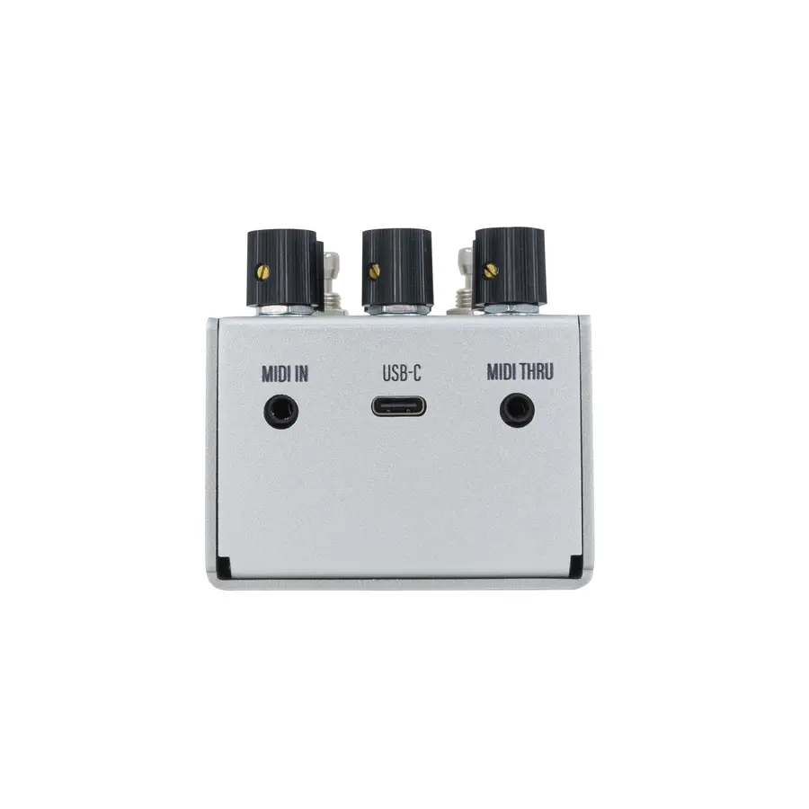 Walrus Audio Mako Series MKII D1 Delay 