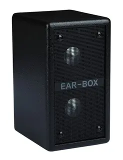 Phil Jones Bass Ear-Box EB-200 2x2" Kabinett