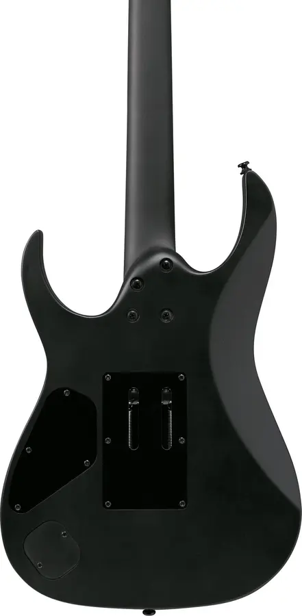 Ibanez RGRB620-BKF Elgitar RG Iron Label 
