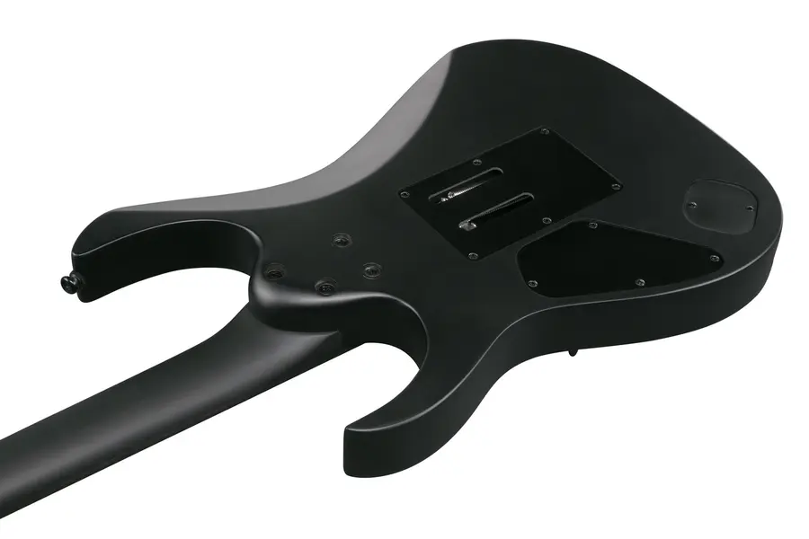 Ibanez RGRB620-BKF Elgitar RG Iron Label 