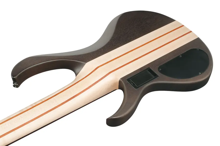 Ibanez BTB606-TGF Elbass 6-str. BTB Standard 