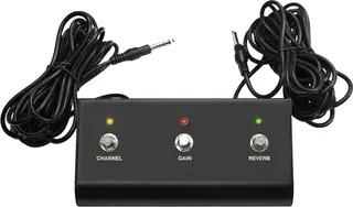 Hiwatt FS301 Fotbryter