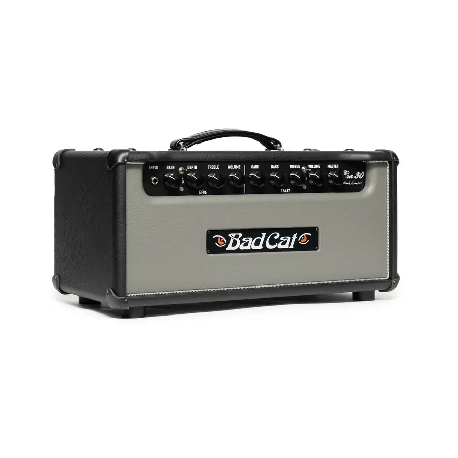 Bad Cat Era 30 Gitartopp Gray Front/Silver Piping 