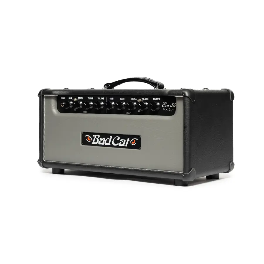 Bad Cat Era 30 Gitartopp Gray Front/Silver Piping 