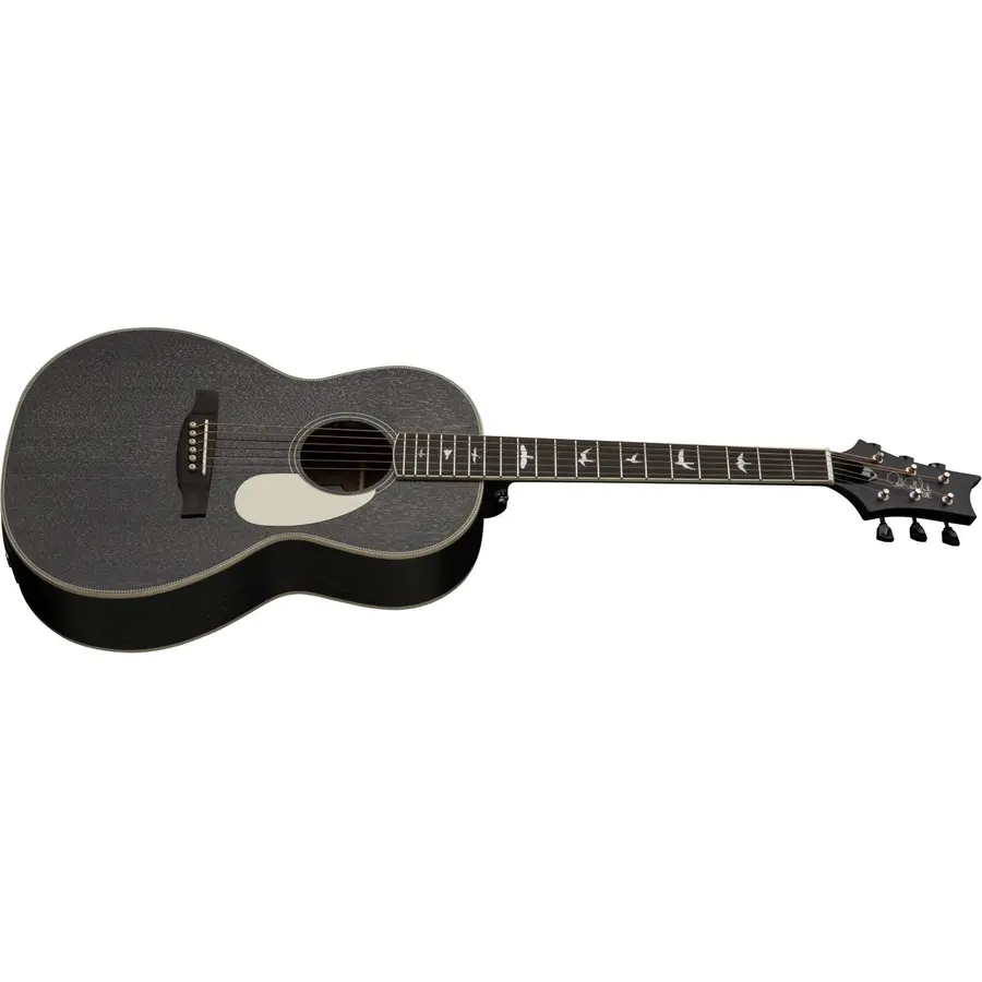 PRS SE PPE20DG Parlor Dog Hair 